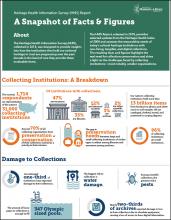 Cover of HHIS Infographic Overview Cover of HHIS Infographic Overview