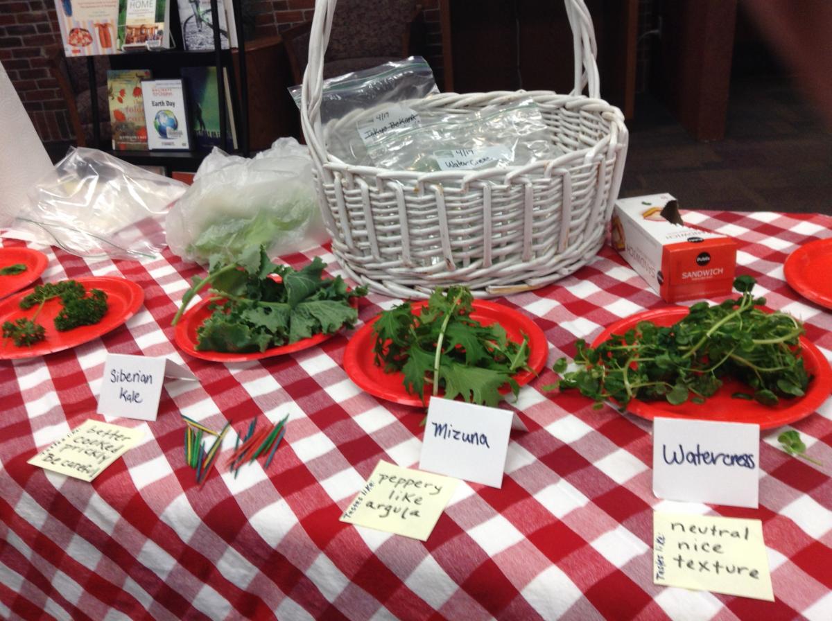 A table with a basket and fresh herbs