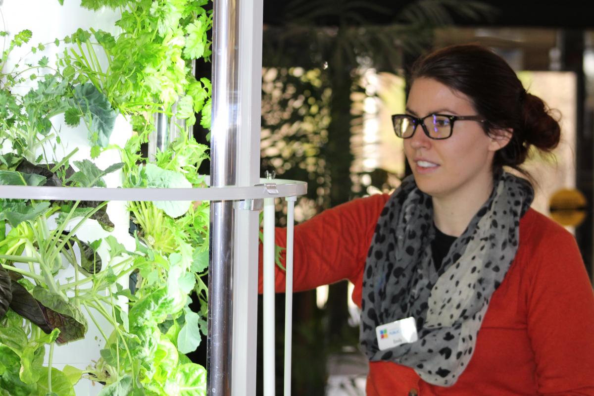 A staff member waters a plant in library