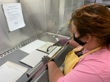 a member of staff performs mold cleaning in hood