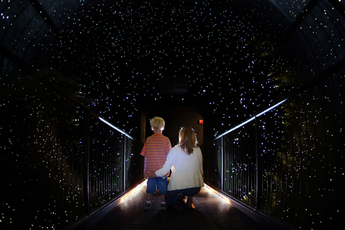 Woman and boy standing on platform to view canopy of stars.