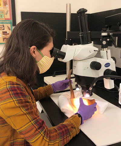 Woman looks at ladle made of sheep horn through a stereomicroscope.