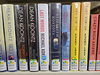 shelf of books from Hamilton East Public Library microlibrary
