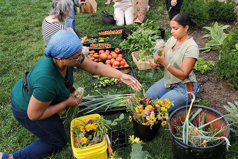 Women planting garden