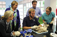 Collections Assessment for Preservation (CAP)
