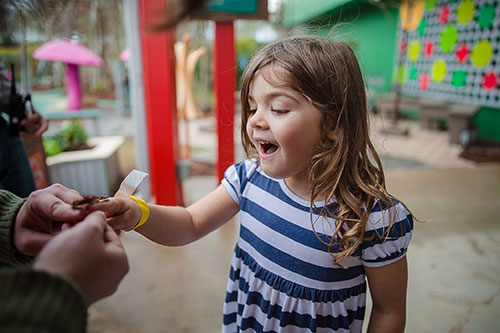 Young visitor participates in a butterfly release