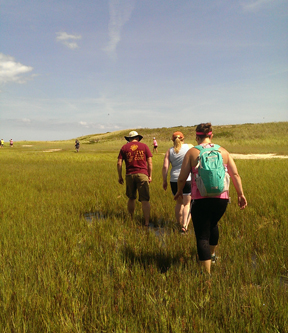 On Tern Island, volunteers remove fencing that protects the habitat of endangered piping plovers and terns.  