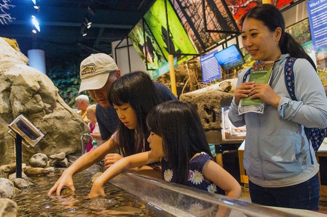 Visitors get hands-on in one of the many tangible Living River Trail exhibits