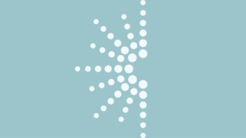 imls logo symbol