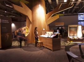 Museum: Crystal Bridges Museum of American Art, Bentonville, Arkansas