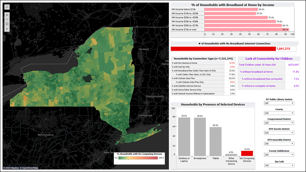 Screenshot displaying NYS Digital Equity Portal interface.